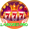 all cricket - Gaming Royal