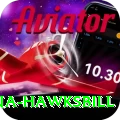 antigua hawksbill Premium Edition v4.5.4