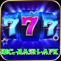 bbl big bash apk VIP Pro v2.8.2