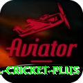 bbl cricket Super Latest v4.2.8
