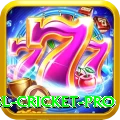 bbl cricket Gold 2024
