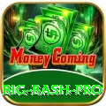 big bash - Slots Gold