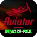 Bingo PKR Apps (Tools & Injectors) Pro v2.3.1