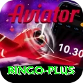 bingo VIP Pro v5.8.2
