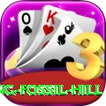 chhusang fossil hill Apps (Tools & Injectors) Premium v3.4.9