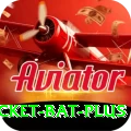 cricket bat Earn Super v5.5.7