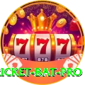 cricket bat Earn Royal v2.5.0