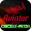 cricket pitch Elite Pro v2.1.3