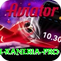 danish kaneria Bonus Premium v4.6.5