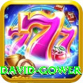 david gower Apps (Tools & Injectors) VIP v1.8.7