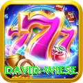 david wiese Plus Pro v3.5.0