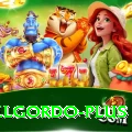 elgordo Pro v3.8.3