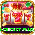 fastest ball in cricket Official v3.2.7