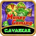 gavaskar VIP v4.5.1