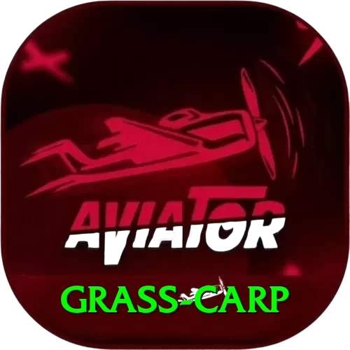 grass carp VIP - 2