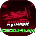 hong kong cricket team Pro Max v5.4.4