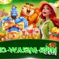 imad wasim spin VIP v1.3.7