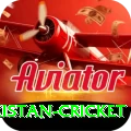 india pakistan cricket Ultimate v2.2.7
