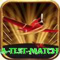 india test match Deluxe v2.4.4