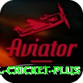 international cricket - Deluxe v4.6.9