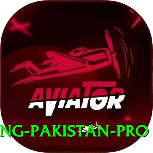 IPL Betting Pakistan Pro Casino App - 2