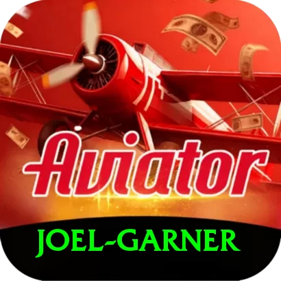 joel garner VIP Pro v3.3.1 - 2