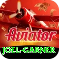 joel garner VIP Pro v3.3.1