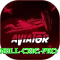 mobile cric Bonus Prime v1.6.3