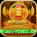 naseem shah yorkers Games (Casino & Earning) Gold v1.4.0