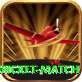 next cricket match Pro v1.4.1