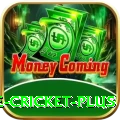 online cricket App VIP v1.2.1