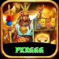pkr666 VIP v2.8.8