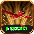 r cricket VIP v5.6.6