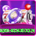 rudi koertzen Elite v5.6.3