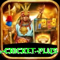 sa cricket Premium - Free Download