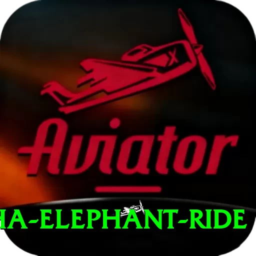sauraha elephant ride App - 2