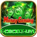 smart cricket live Deluxe Edition v4.5.2