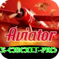 sports cricket Ultimate - Free Download