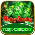 test cricket VIP v5.8.9