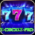 test cricket Slots Champion v5.8.8