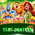 test match Master v1.2.7