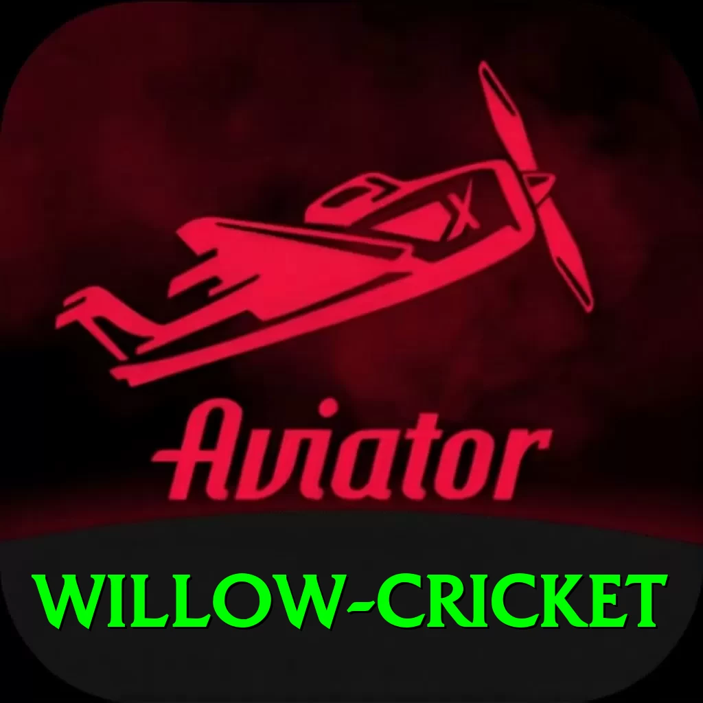 willow cricket Deluxe Edition v4.3.5 - 2