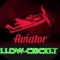 willow cricket Deluxe Edition v4.3.5