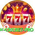 willow cricket Bonus Premium v4.7.0