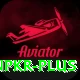 winpkr Ultimate v4.5.3
