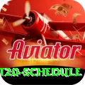 world t20 schedule Deluxe Pro v1.4.1